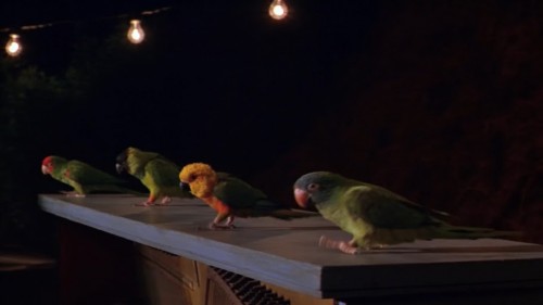 3n63.jpg