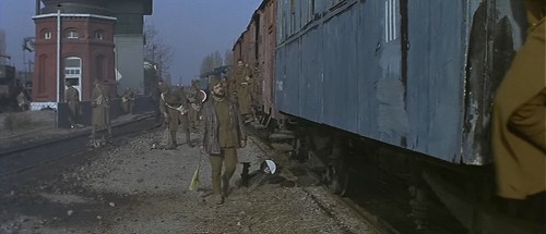 D1G1P.jpg