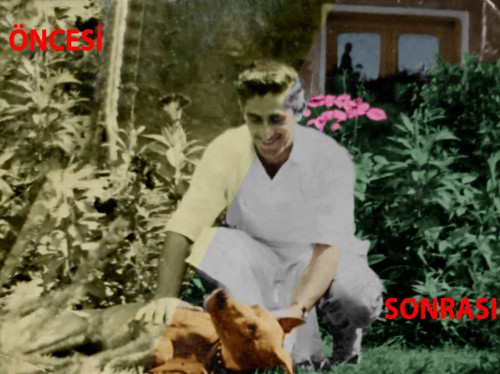 EHEo9.jpg